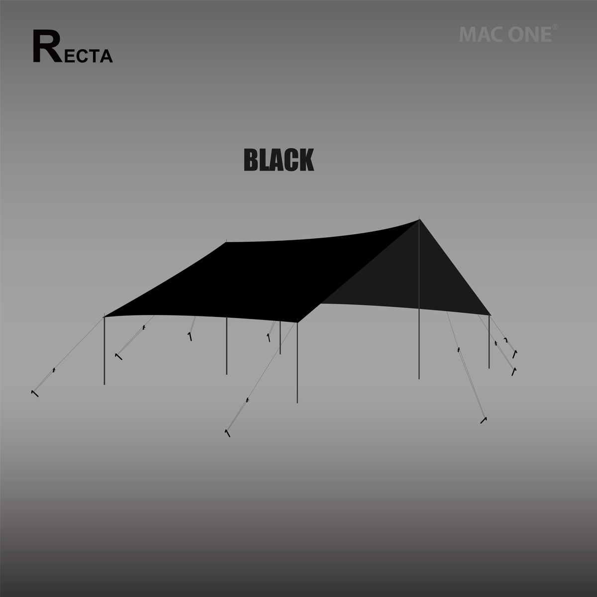 MacOne Recta L – eight