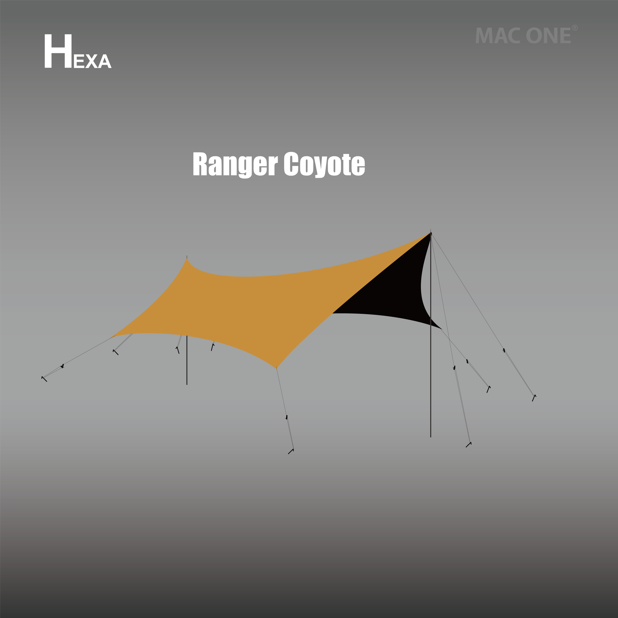 MacOne Hexa L – eight MacOne Hexa L – eight